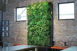 Green Wall Office