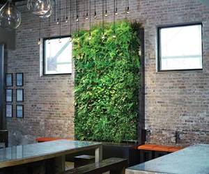 Green Wall Office