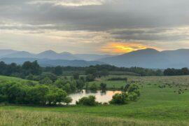 Land with pond