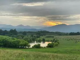 Land with pond