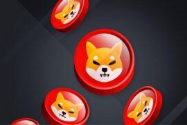 shiba token image 2