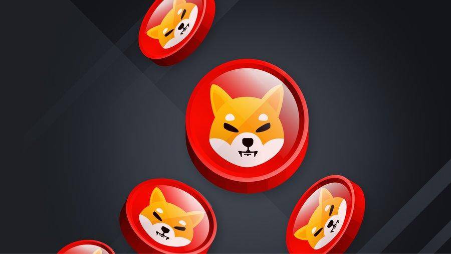 shiba token image 2